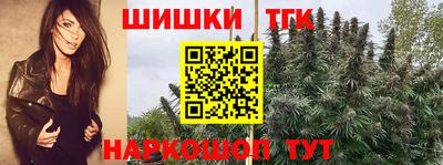 apvp Нальчик