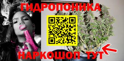 apvp Нальчик
